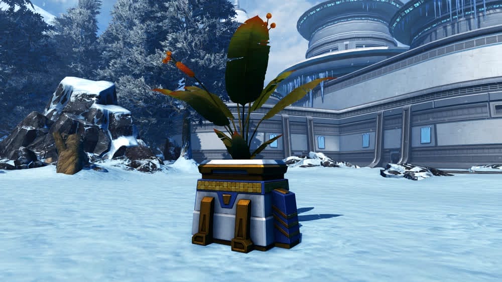 Onderon Bulrush Planter