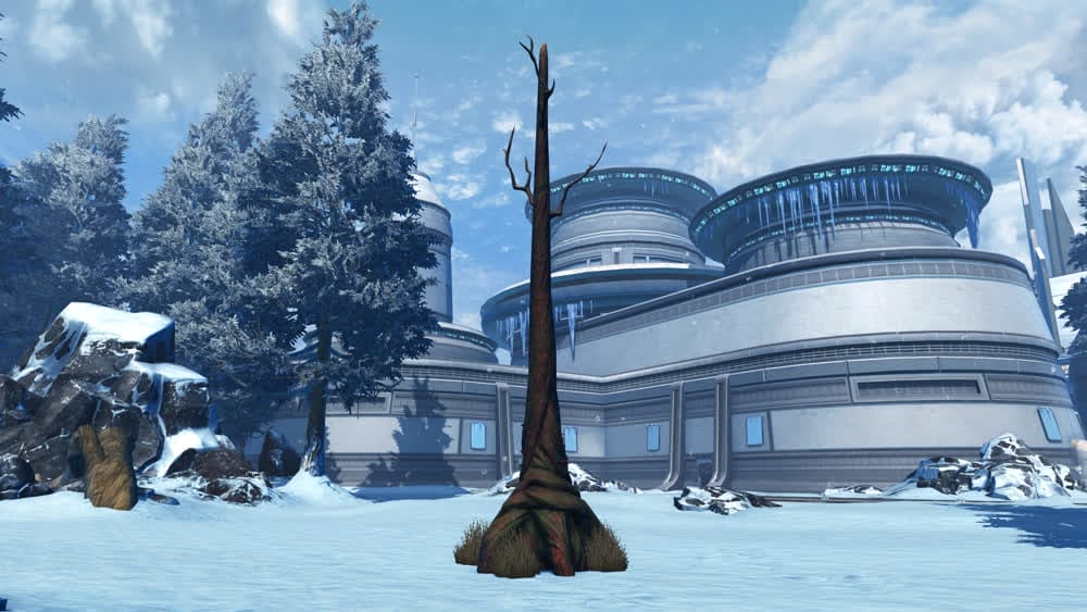 Petrified Tree