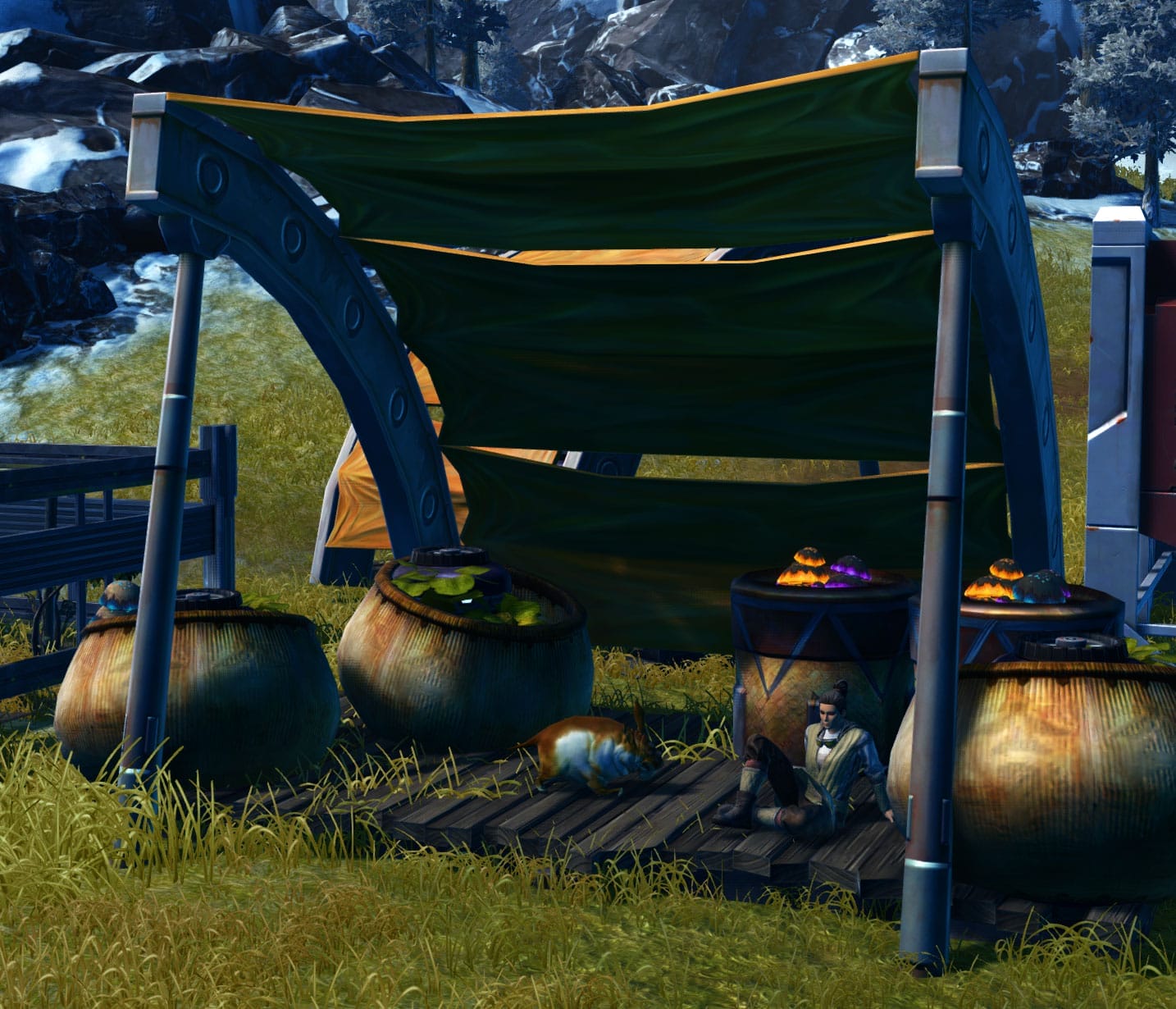 Arrangement: Mushroom Merchant Stall